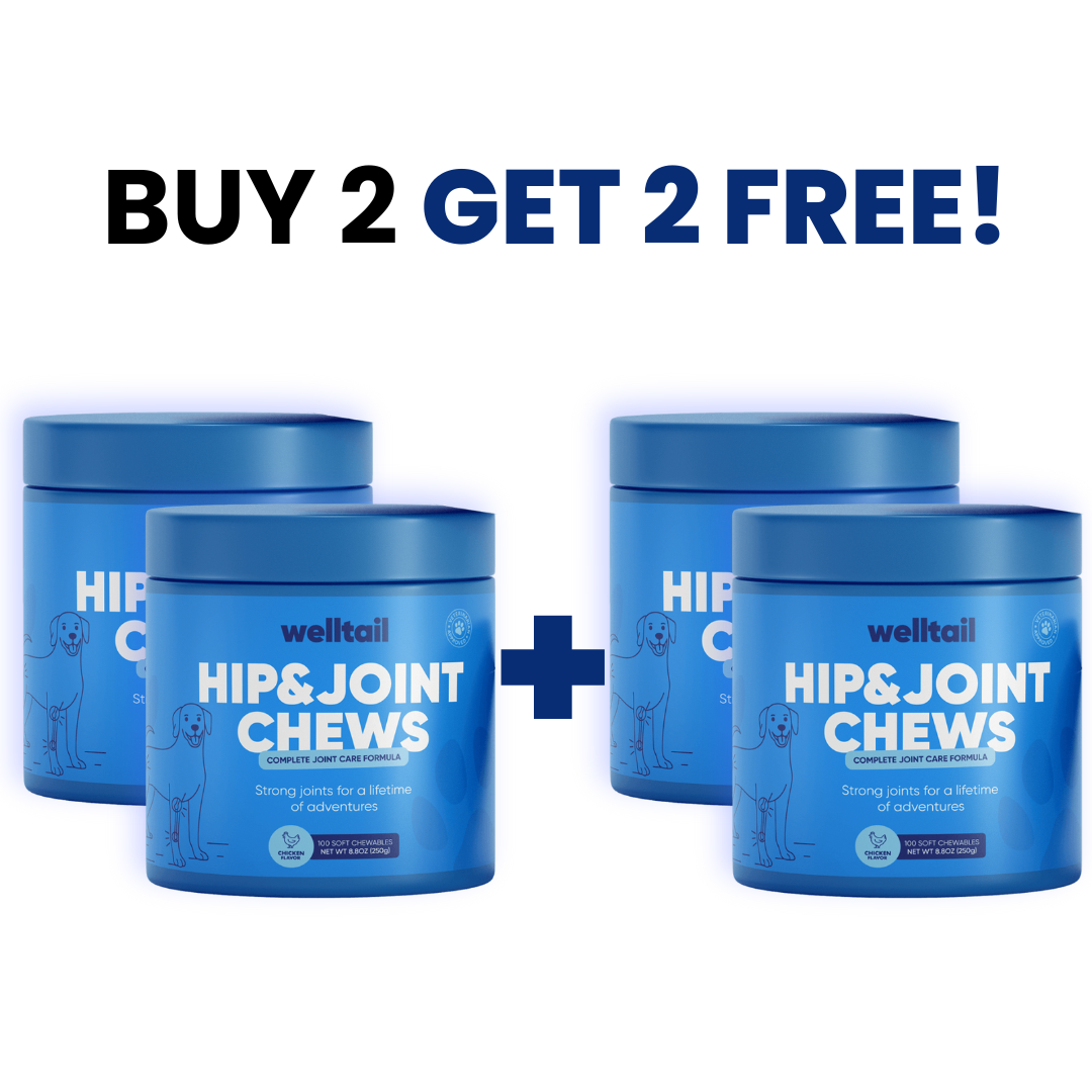Hip & Joint Chews