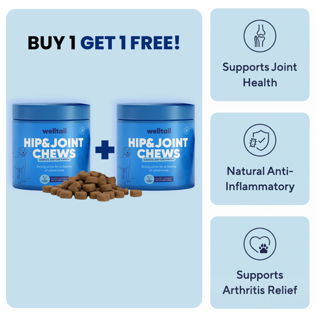 Hip & Joint Chews