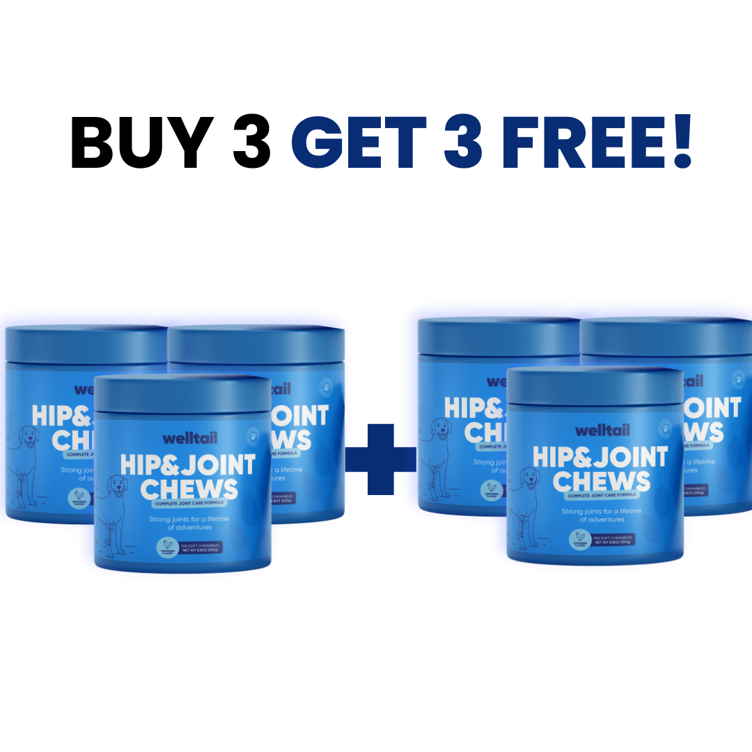 Hip & Joint Chews
