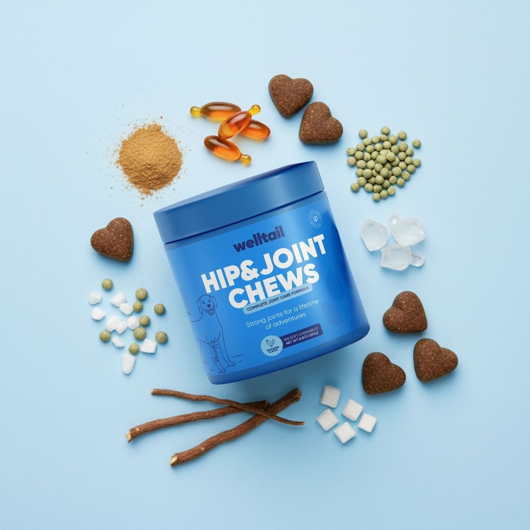 Hip & Joint Chews
