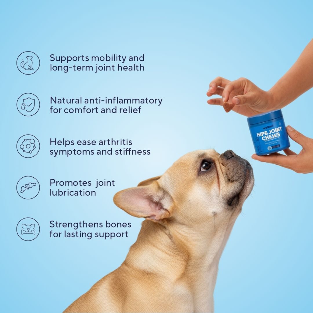 Hip & Joint Chews