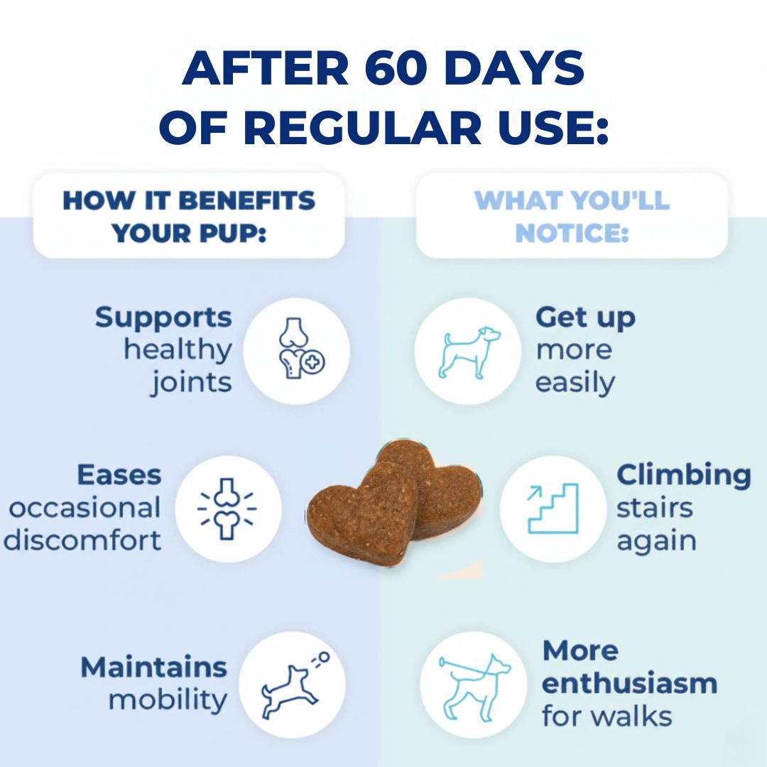 Hip & Joint Chews