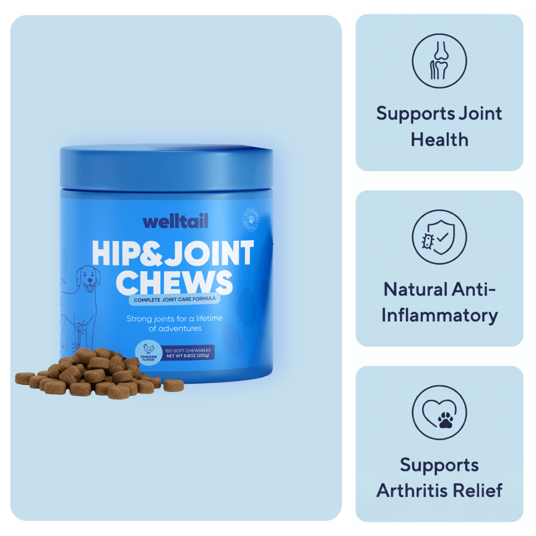 Hip & Joint Chews