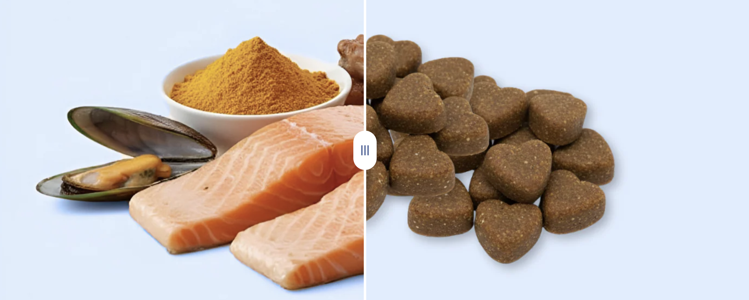 Help your dog stay active with the right nutrition. Explore top foods and nutrients that support joint health, improve mobility & relieve pain.