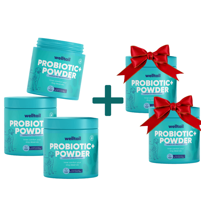 Probiotic Powder for Dogs – Gut Health & Fresh Breath