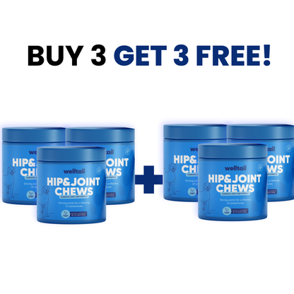 Hip & Joint Chews