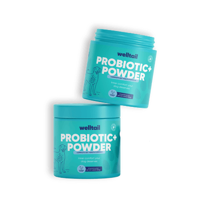 Probiotic Powder for Dogs – Gut Health & Fresh Breath