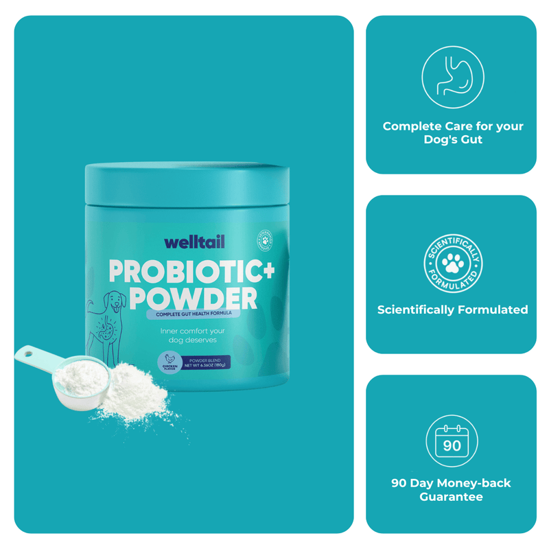 Probiotic Powder for Dogs – Gut Health & Fresh Breath