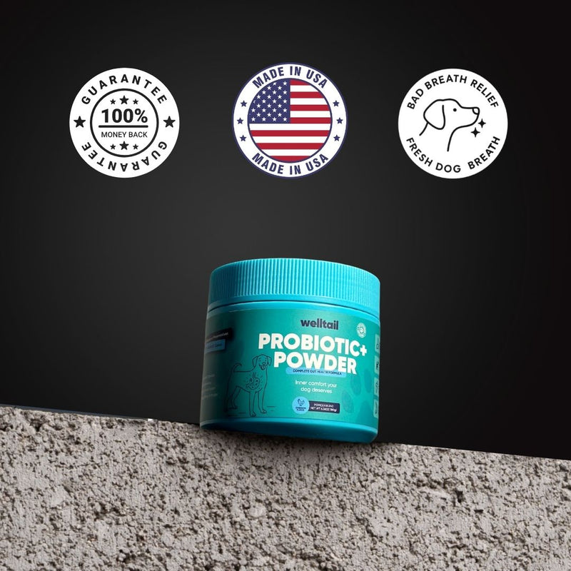 Probiotic Powder for Dogs – Gut Health & Fresh Breath