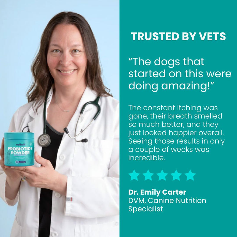 Probiotic Powder for Dogs – Gut Health & Fresh Breath