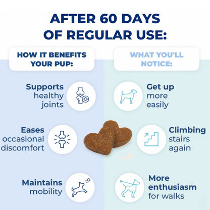 Hip & Joint Chews