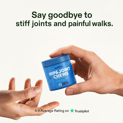 Hip & Joint Chews