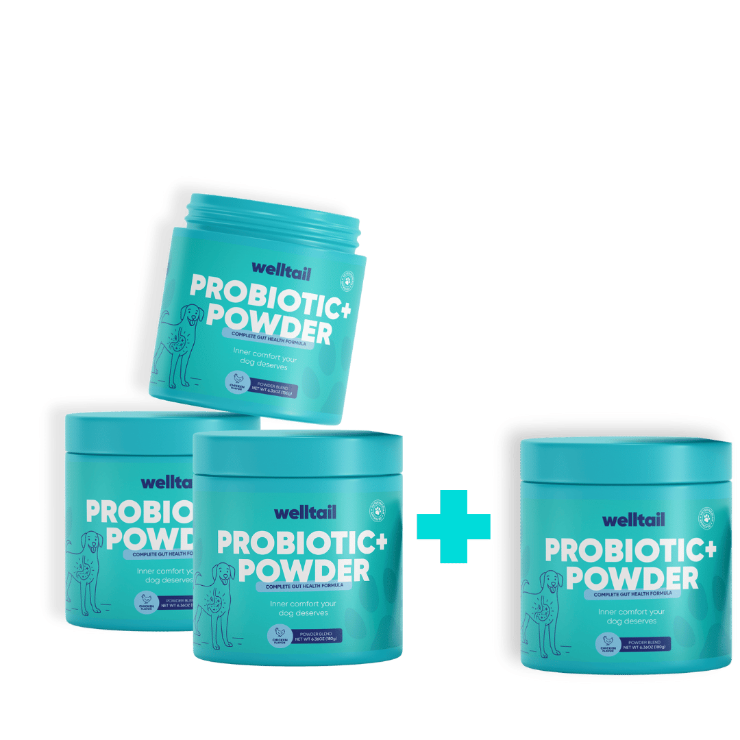 Probiotic Powder for Dogs – Gut Health & Fresh Breath