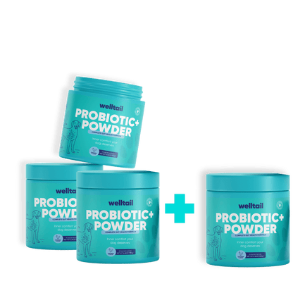 Probiotic Powder for Dogs – Gut Health & Fresh Breath
