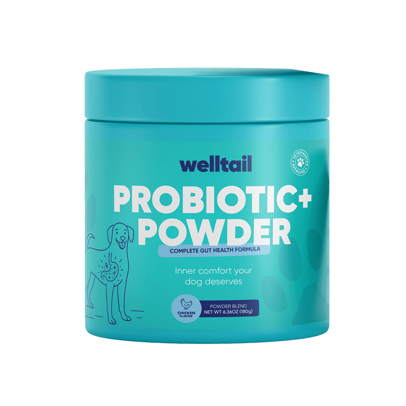 Probiotic Powder for Dogs – Gut Health & Fresh Breath