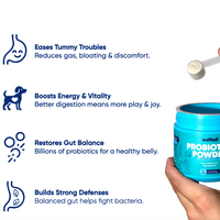 Probiotic Powder for Dogs – Gut Health & Fresh Breath